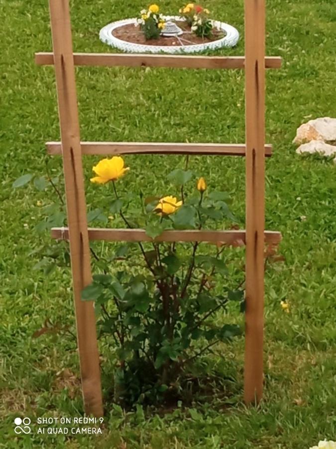Yellow Rose Rakovica Exteriör bild